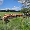 Frühlingsfahrt Juni 2024